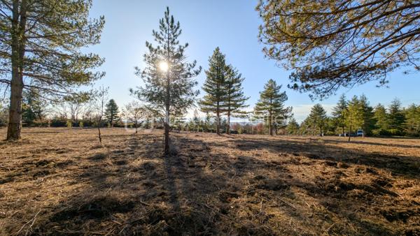 Terrain de 8 009 m²