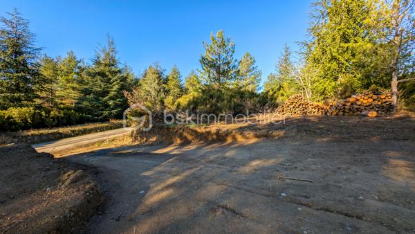 Terrain de 8 009 m²