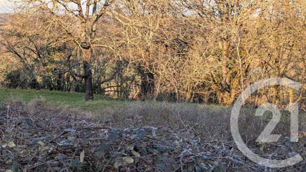 Terrain à vendre  1603 m2 BEAUVILLE - 47