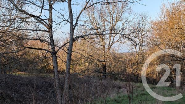 Terrain à vendre  1603 m2 BEAUVILLE - 47