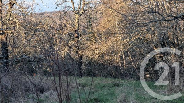 Terrain à vendre  1603 m2 BEAUVILLE - 47