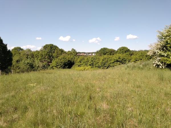 Terrain à bâtir à Neuvillers- sur -Fave environ 1800m²