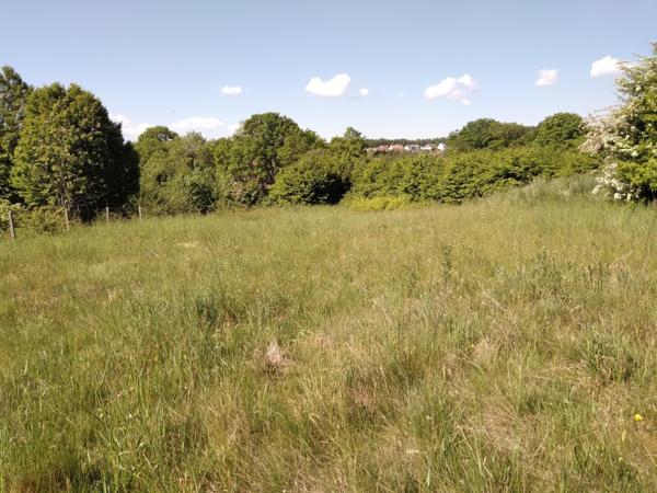 Terrain à bâtir à Neuvillers- sur -Fave environ 1800m²