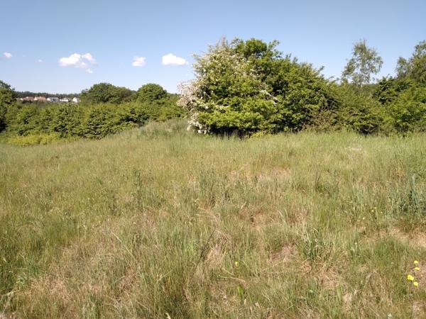 Terrain à bâtir à Neuvillers- sur -Fave environ 1800m²