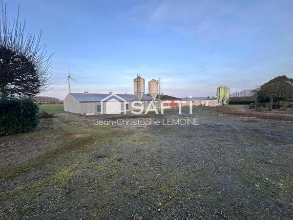 Maison de campagne,125 m2,bat et 5 ha agricoles