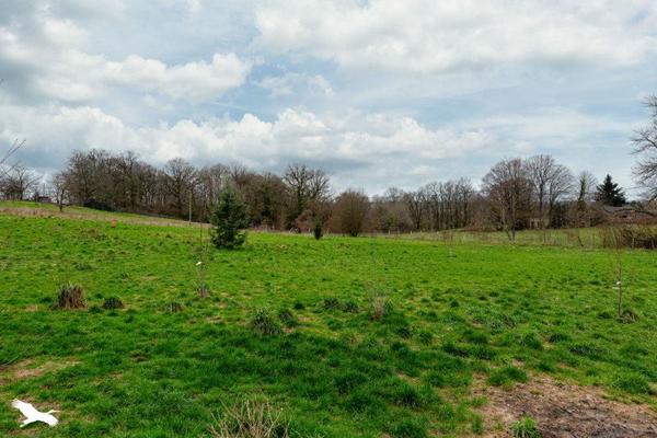 Maison à vendre |  Perpezac-le-Noir |  5 pièces | 273 m²