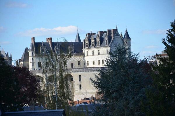 Propriete à vendre 32 pièces AMBOISE (37)