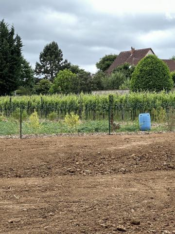 Appartement 3 pièces Neuf