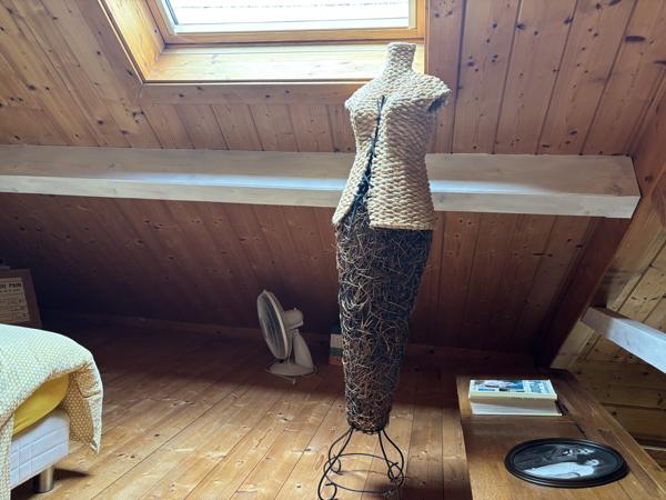 Autry-Issard – Charmant chalet en bois avec 3571 m² de terrain Autry-Issards (03210)