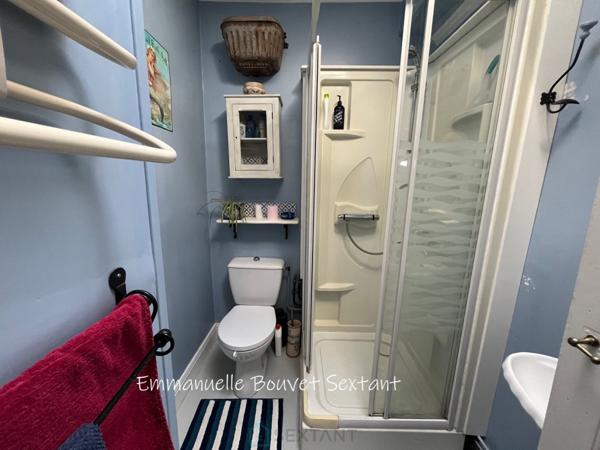 Grande maison bourgeoise fin 19ème, centre-ville, tous commerces à pied, jardin, garage, terrasses