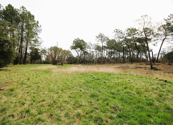 Terrain à vendre    Les Assions