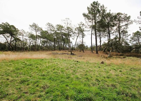 Terrain à vendre    Les Assions