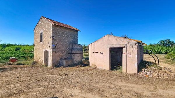 10 hectares de vignes avec oliviers et fruitiers plus Mazet eau et électricité