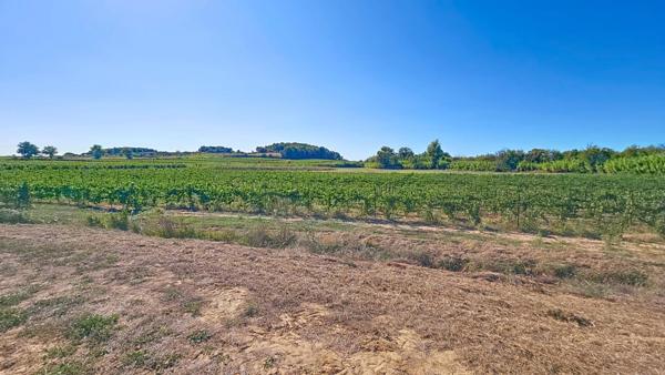 10 hectares de vignes avec oliviers et fruitiers plus Mazet eau et électricité