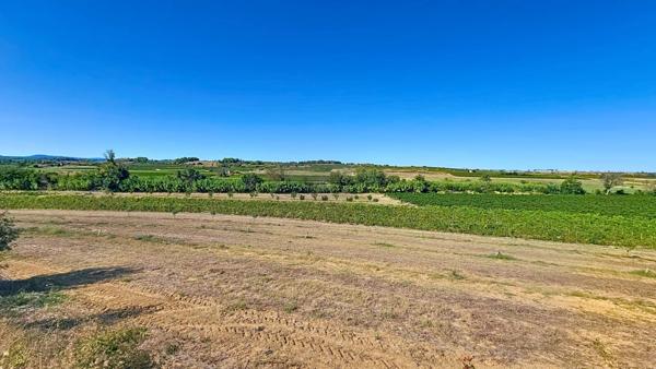 10 hectares de vignes avec oliviers et fruitiers plus Mazet eau et électricité