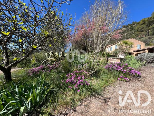 Maison à vendre 5 pièces 100 m² Vidauban