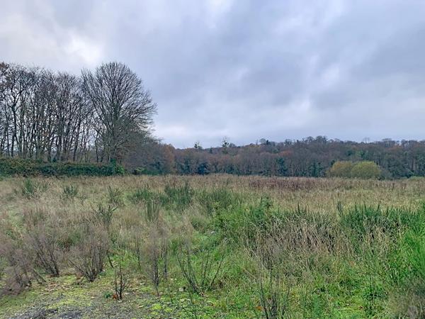 Grand terrain dans le bourg de PLOUISY