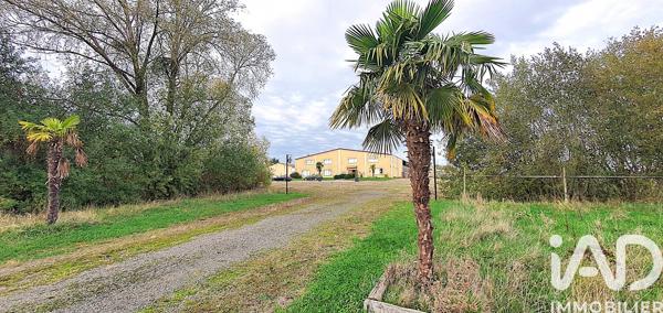 Murs commerciaux  à vendre 610 m² Dammartin-en-Serve