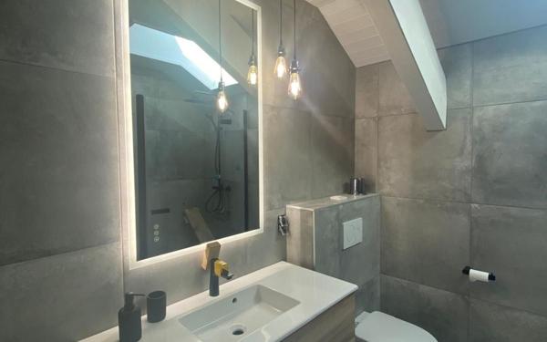 Maison à vendre    6 pièces • 246 m2 Messery