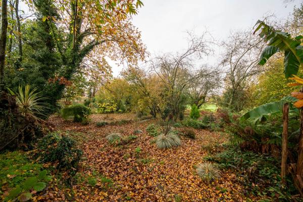 Vente / Ensemble de 2 maisons