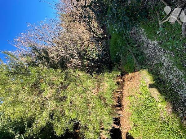 Maison 102 m² Séjour cheminée, cuisine, véranda, 3 chambres, salle d’eau.Jardin 680 m² garage forage