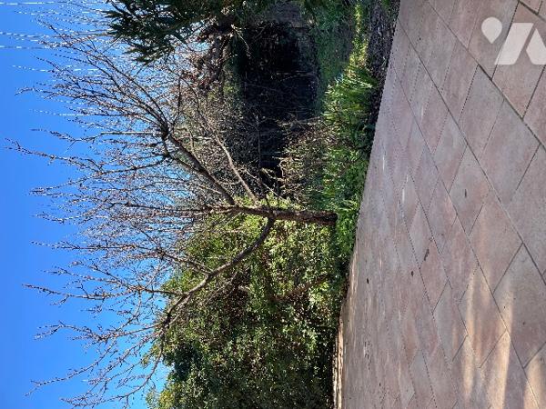 Maison 102 m² Séjour cheminée, cuisine, véranda, 3 chambres, salle d’eau.Jardin 680 m² garage forage