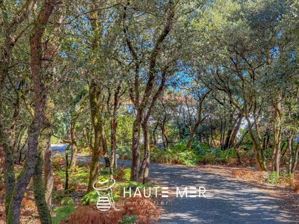 EQUATEUR – Spacieuse villa lovée dans les pins