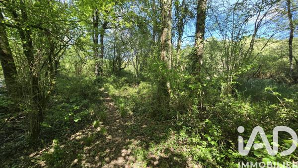 Terrain à vendre 3 350 m² Val-de-Comporté