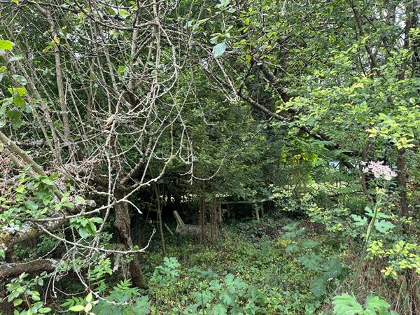 Maison a vendre a Saint Fargeau Ponthierry - 4 pieces avec garage