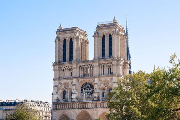 Appartement avec vue sur la cathédrale notre-Dame de Paris