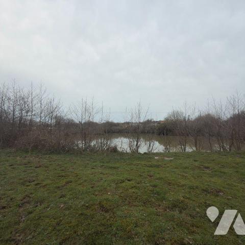 À proximité immédiate du centre de La Haye (50250), commune reconnue pour son dynamisme commerc...