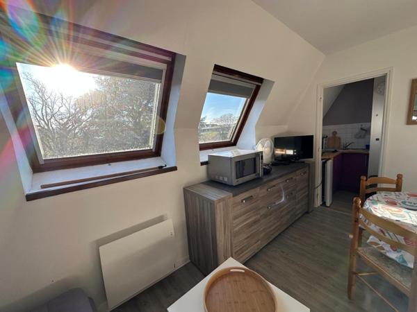 Appartement à LA ROCHE-POSAY, 86270 - 1 pièce 24m²