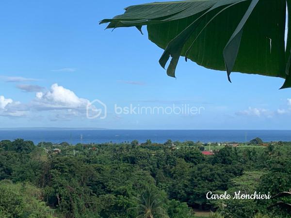 Terrain de 500 m²
