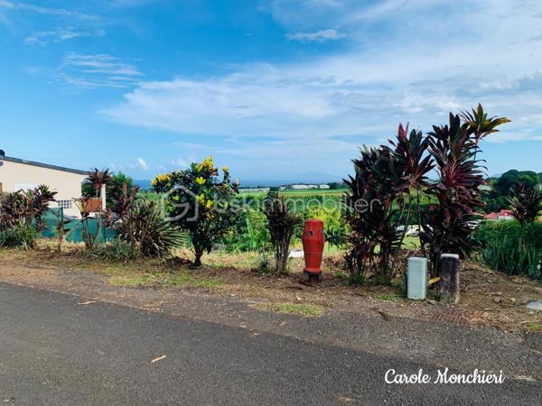Terrain de 500 m²