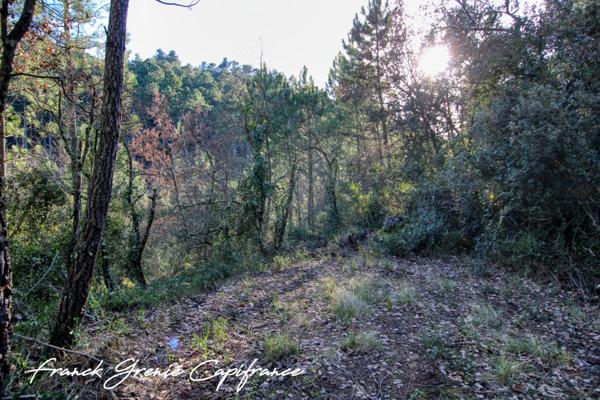 Terrain naturel à vendre TOURVES (83)