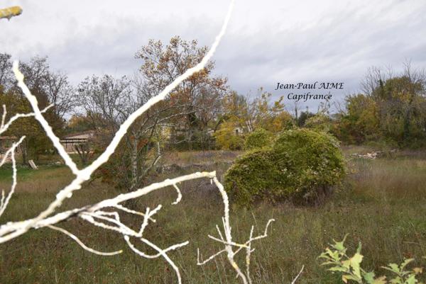 Terrain à vendre LE GARN (30)