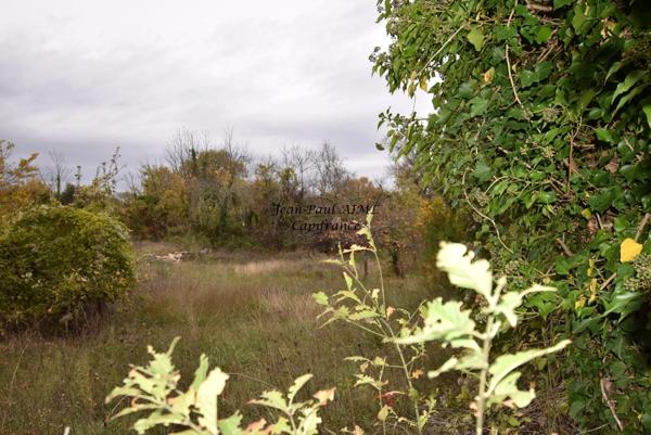 Terrain à vendre LE GARN (30)
