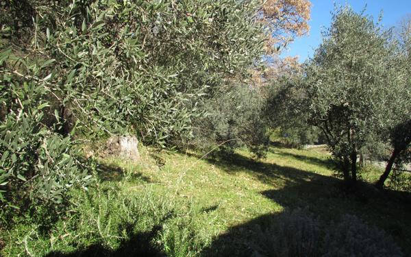 Terrain à vendre