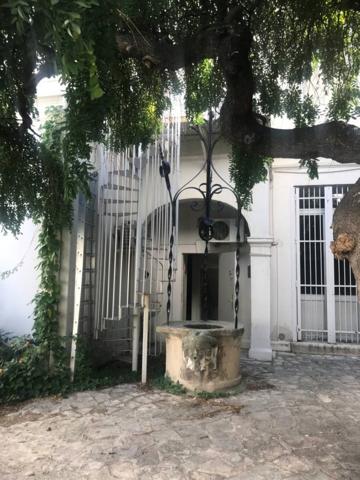 PRODUIT RARE - A vendre ou à louer - Hôtel particulier à usage de bureaux avec dépendances et jardin - Rond-Point du Prado - 13008 Marseille