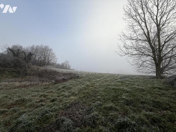 EXCLUSIVITE - ROMAIN- Terrain à bâtir non viabilisé de 689m²