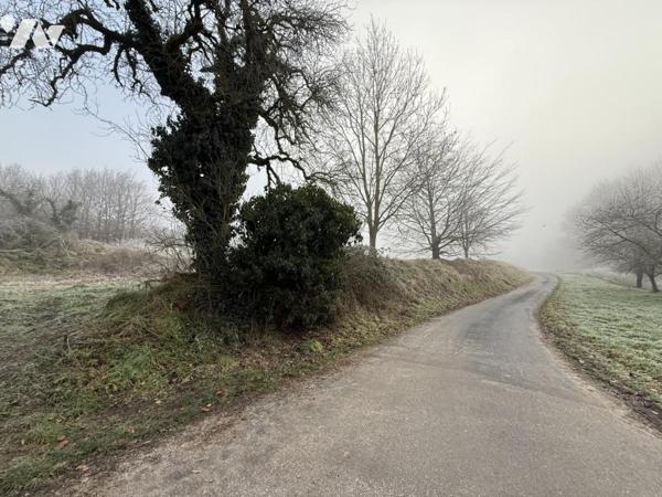 EXCLUSIVITE - ROMAIN- Terrain à bâtir non viabilisé de 689m²