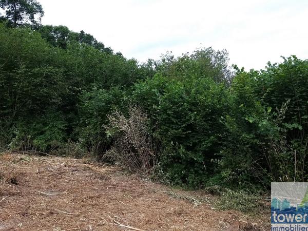 Terrain à bâtir de 2640 m2 près de Sers à 14 mn de Soyaux