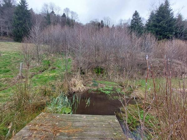 À Vendre Maison Divisible en 3 Logements