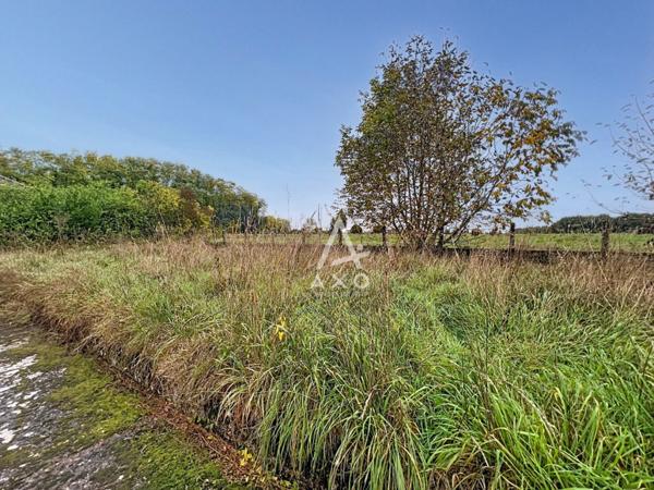 DAMPARIS (39) maison 5 pièces et grand jardin