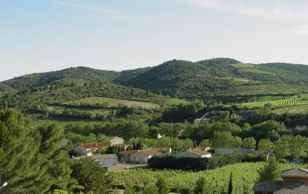 Vente Terrain Cascastel-des-corbieres   
