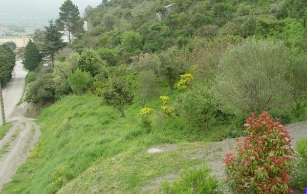 Vente Terrain Cascastel-des-corbieres   
