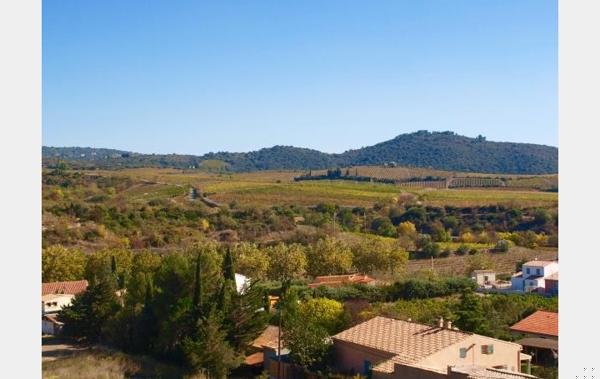Vente Terrain Cascastel-des-corbieres   