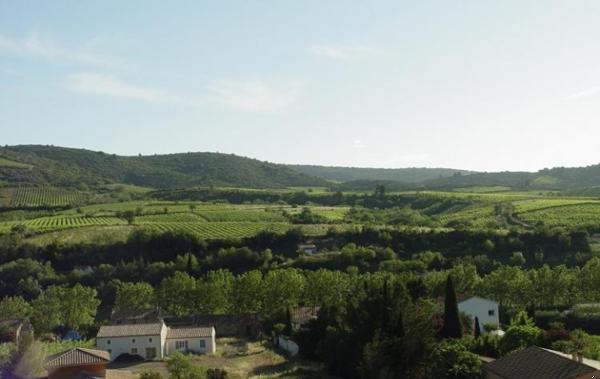 Vente Terrain Cascastel-des-corbieres   