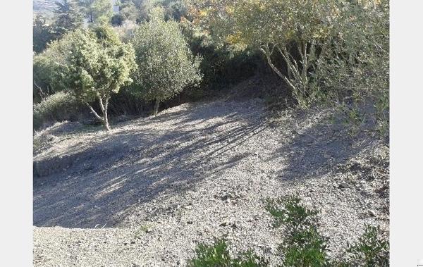 Vente Terrain Cascastel-des-corbieres   