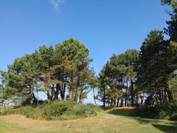 Vente Villa de luxe Le Touquet-Paris-Plage 7 Pièces 200 m²